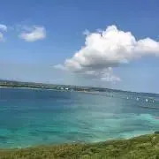 IQEQの画像