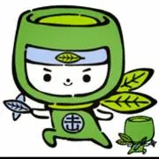 ぽむの画像