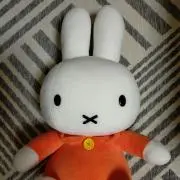 Satiの画像
