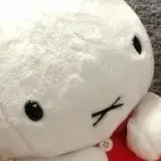 nsyg4の画像