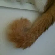 ⭐⭐mama⭐⭐