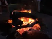 b7.　角丸菱形　葉っぱ図鐔？　鉄地　銅象嵌 b7. 角丸菱形 葉っぱ図鐔？ 鉄地 銅象嵌 - メルカリ