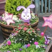 みー⭐︎