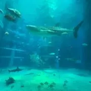 ストリートの画像