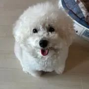 まぁの画像