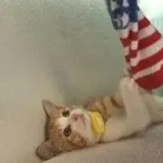 おかゆ