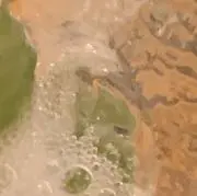 りく