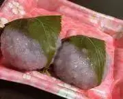 もちみの画像