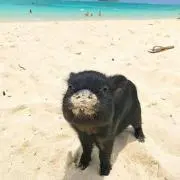 ごんたん(^^)
