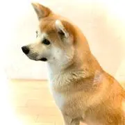 ☆ムック☆アパレル☆の画像