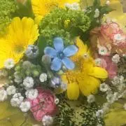 MYLUNAの画像