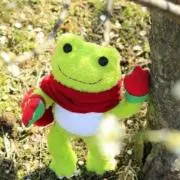☆ぴくるす☆の画像