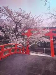 monoの画像