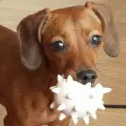 ゆきっちの画像