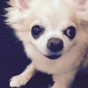 r.k.c♡いきなり購入不可！