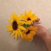 断捨離中！ご相談ください！の画像
