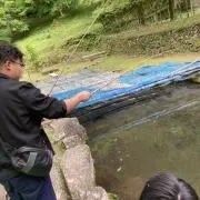 珊瑚