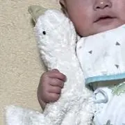 かぽん