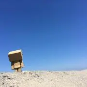 だんぼーの画像