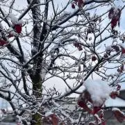 kinoko1022※プロフ確認の画像