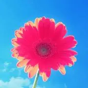 けんけん（プロフご一読ください）の画像