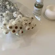 puppyの画像
