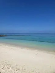 umiの画像