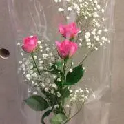 にこ◎