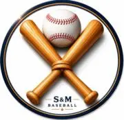 超希少】2026WBC選出ヤクルトスワローズ中村悠平選手実使用バット背