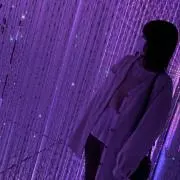 いの画像