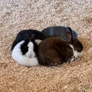 なんなん
