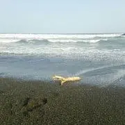 りくぼ