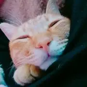 miyuhana