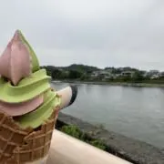 FhsMの画像