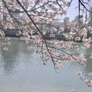 キラキラ