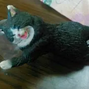 メガネ