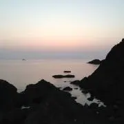 ゆっこの画像