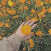 j*゜の画像