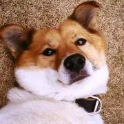 みわっちの画像