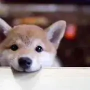 あき