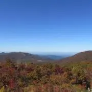 あーの画像