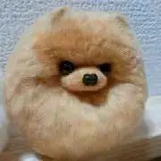 MAARUNの画像