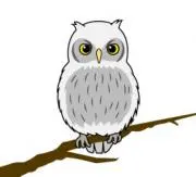 アウル✴︎プロフ参照の画像