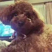 Accha ※ 無言取引きはお断り※の画像
