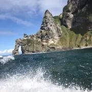 舞花の画像