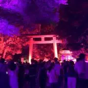 MIYABIの画像
