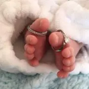 ぱんこの画像