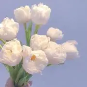 suuの画像