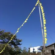 とらうべの画像