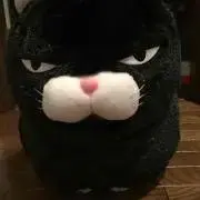 雷⚡おじさん
